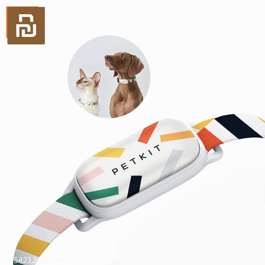 Collar personalizado inteligente para perros y gatos